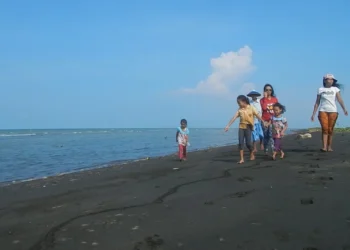 Pantai tiram cepiring