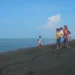 Pantai tiram cepiring